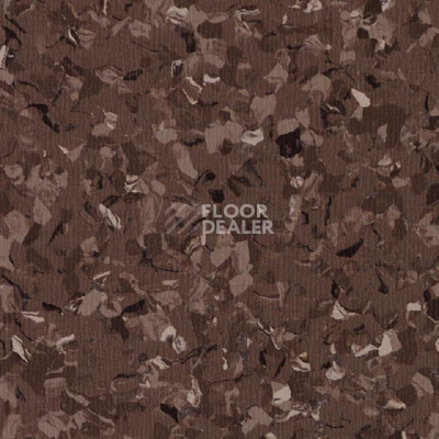 Линолеум Tarkett iq Toro Sc BROWN 0575 фото 1 | FLOORDEALER